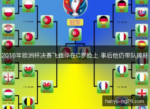 2016年欧洲杯决赛飞蛾停在C罗脸上 事后他仍带队捧杯